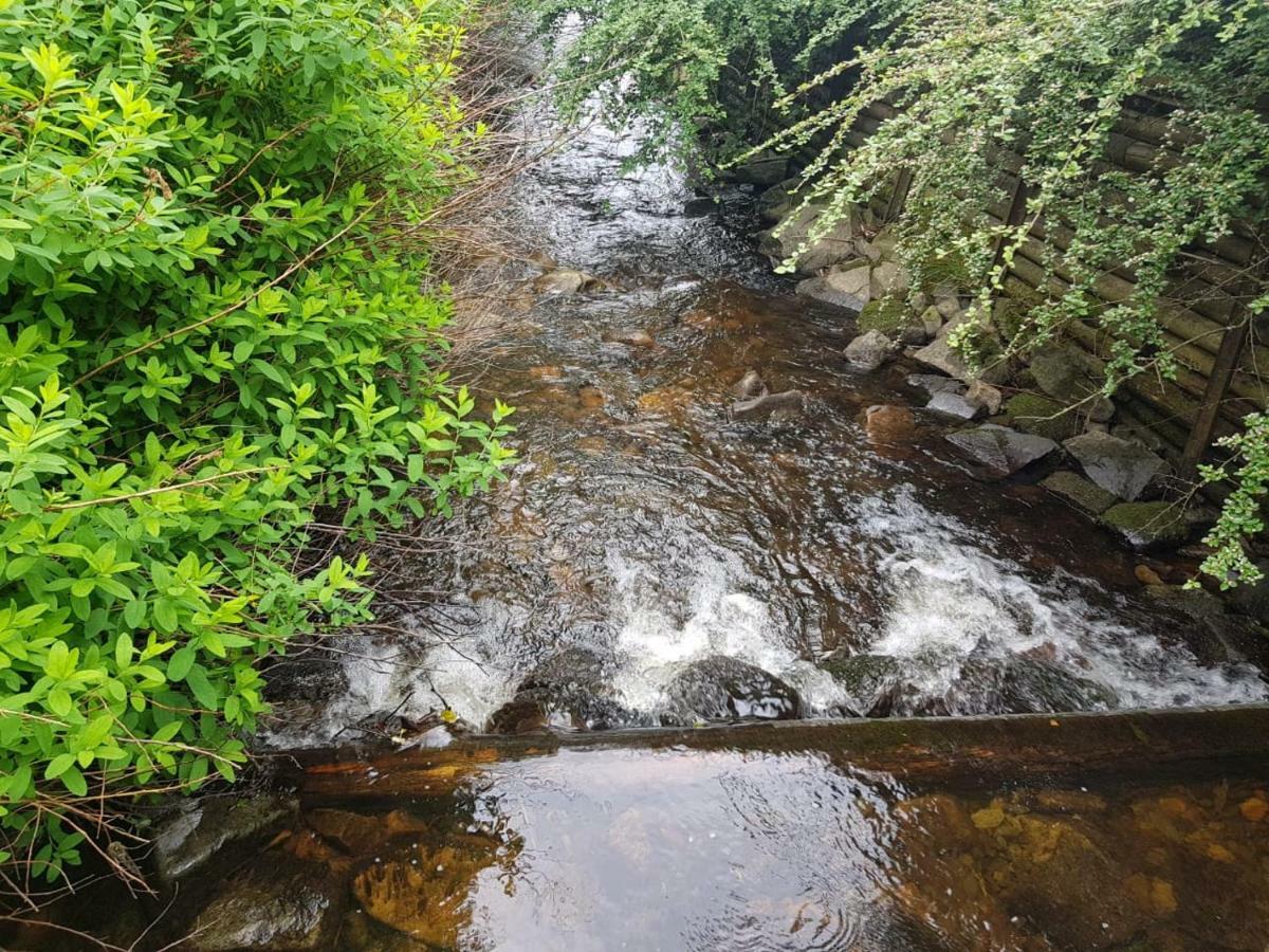 Ferienwohnungen Untermuehle, Rothenbergerstr. 12 Altenau  Dış mekan fotoğraf
