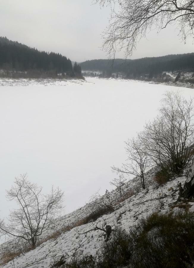 Ferienwohnungen Untermuehle, Rothenbergerstr. 12 Altenau  Dış mekan fotoğraf